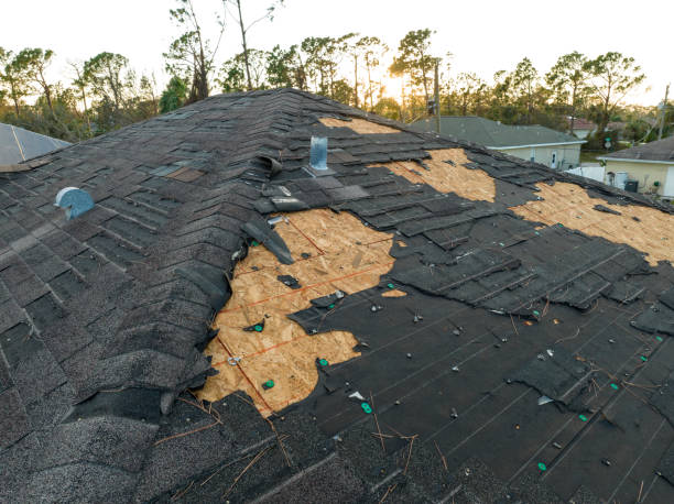 Best Roof Maintenance and Cleaning  in Lewiston, ID