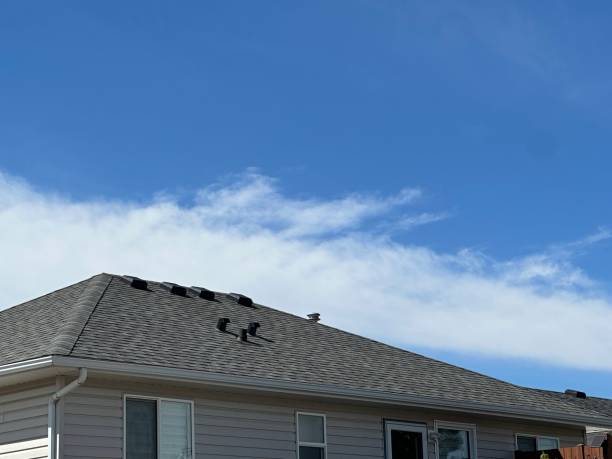 Best Roof Insulation Installation  in Lewiston, ID